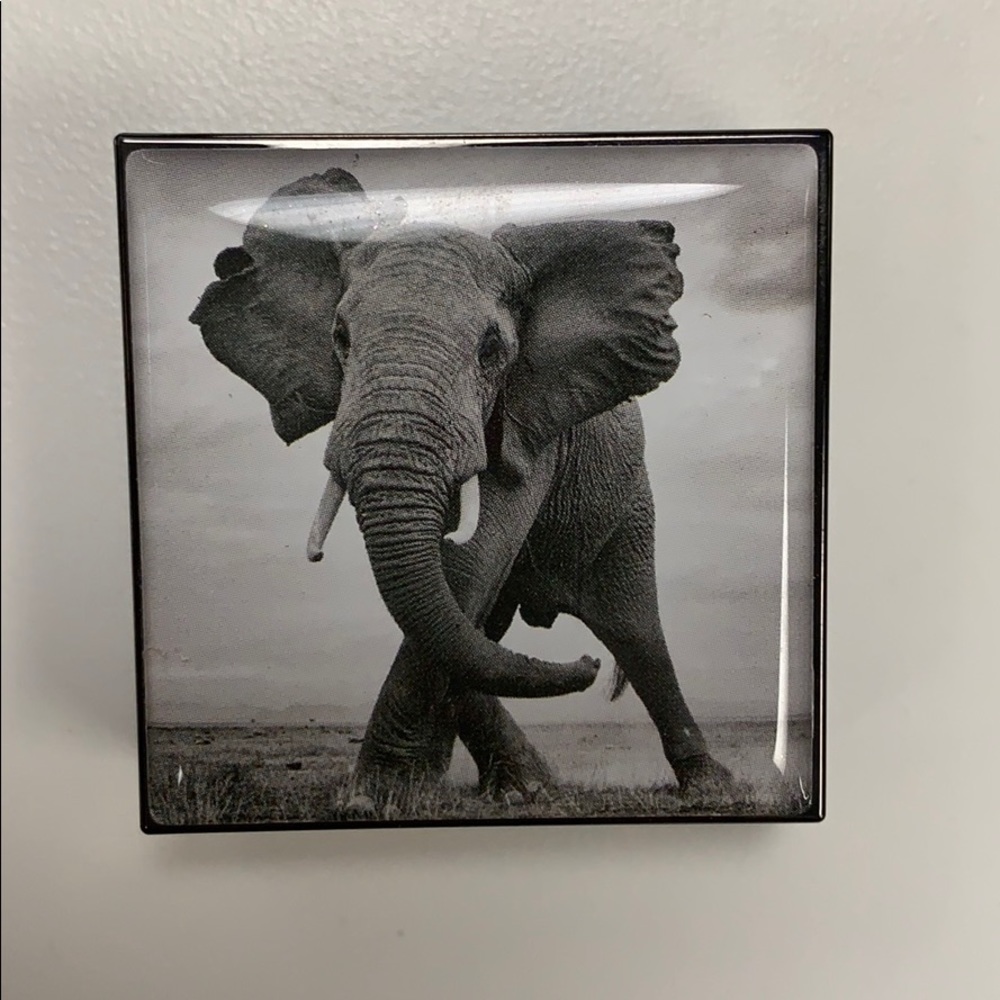 Chantecaille Eyeshadow in Elephant